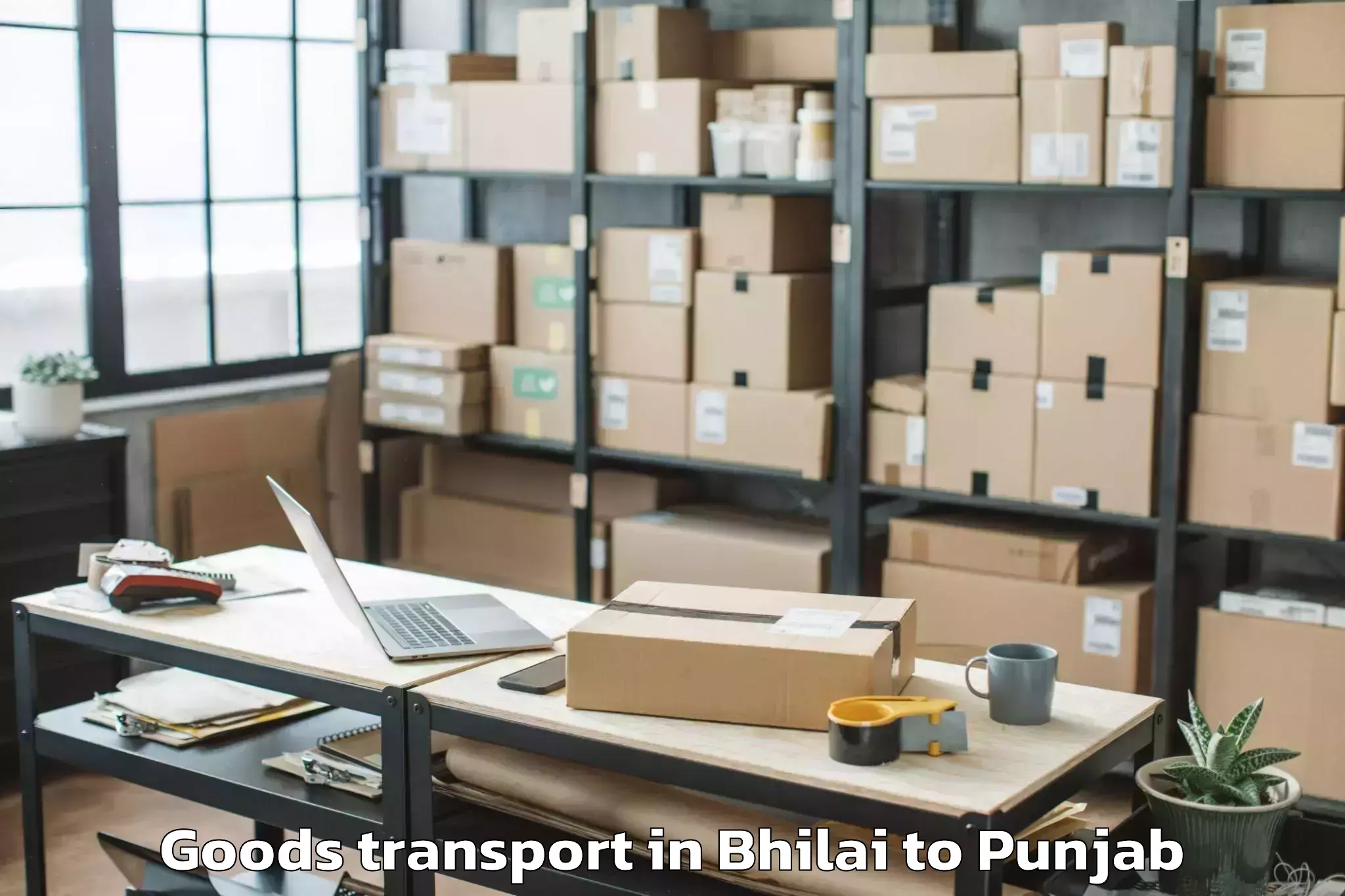 Book Your Bhilai to Bhadaur Goods Transport Today